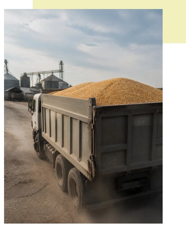 Перевозка сельхозпродукции навалом в Тихвин по цене от 3278 р. | Агросервис-Тхв